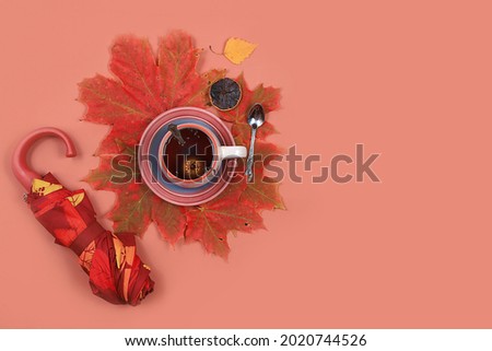 Autumn composition flat lay, seasonal background with maple leaves, cinnamon, tea and umbrella. Happy Thanksgiving concept, greeting card, banner for screen, top view, selective focus