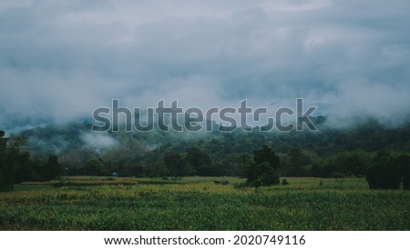 Background image of the morning atmosphere with fog and beautiful mountains.