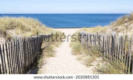 sandy dunes access coast to sea beach in lege Cap-Ferret coast Atlantic ocean in west france Royalty-Free Stock Photo #2020881305