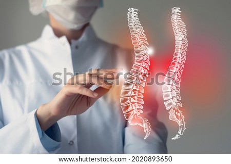 Female doctor touches virtual Spine in hand. Blurred photo, handrawn human organ, highlighted red as symbol of disease. Healthcare hospital service concept stock photo Royalty-Free Stock Photo #2020893650