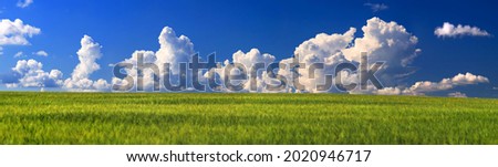 High-resolution panorama for printing photo wallpapers, banners, summer landscape, green field