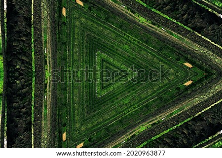 Lost In Maze Woods Triangle Symmetry