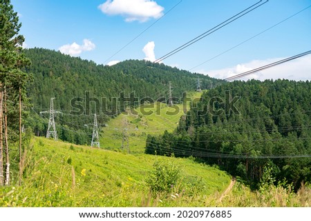 Electric transmission lines in the middle of a dense forest. Massive electric pole with many wires. Royalty-Free Stock Photo #2020976885