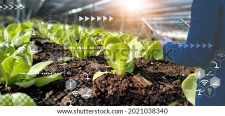 Businessman using smart tablet,organic vegetable house production control,concept agricultural product control technology,to future trading world market,track productivity,satellite for Agriculture Royalty-Free Stock Photo #2021038340