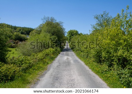 Quiet country lane on a sunny summer afternoon in West Cork Ireland. An Irish country lane is the perfect place to find peace of mind and tranquility.  Royalty-Free Stock Photo #2021066174