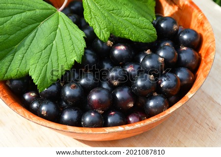 A bowl with large ripe black currant berries and green currant leaves. Characteristic specks on the berries. Fresh harvest