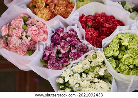 Flowers in various colors on the market