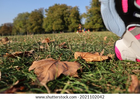 Brown leaf on the grass in a park with the heel of a grey and  pink shoe in shot and trees on the horizon