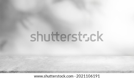 Backdrop background, Empty cement wall room studio interior with Shadow leaves and floor well editing montage display products and text present on free space 