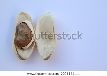 A mango embryo (seed) with a basalis placentation inside the endocarp. Royalty-Free Stock Photo #2021141111