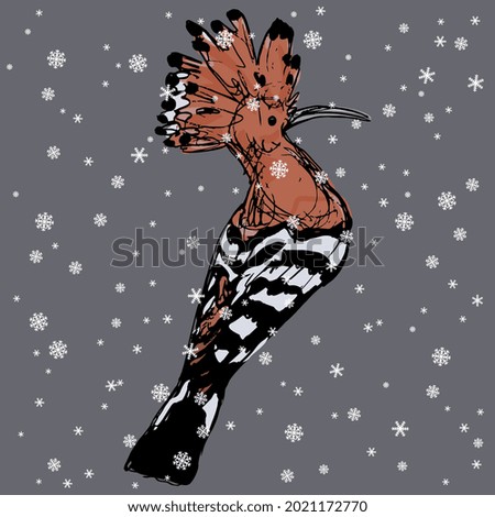 Hoopoe bird in winter under snowflakes. Upupa epops. Hand drawn colorful rough sketch. Isolated vector illustration. On gray background.