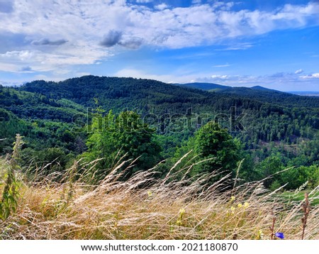 Beautiful view of the wooded hills at summer noon, with blue skies and white clouds. Landscape of the Owl Mountains, Poland, Lower Silesia. 