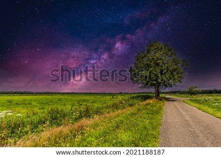 Nightly flat Dutch landscape stream valley of the river Rolderdiep at Anderen with tree against clear flickering starry sky of the Milky Way galaxy with purple and violet colors