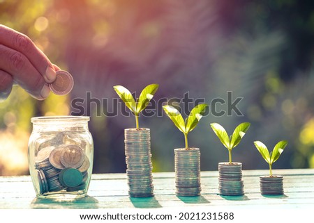 Saving  money. A hand putting coins in bottle and growing tree on coins. The coins in the bottle for save money.investment,bank,finance,Photo financial saving and Saving.