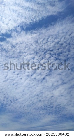 Cirrocumulus Cloud in Hadano city