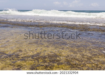 Waves breaking on a beach against rocks