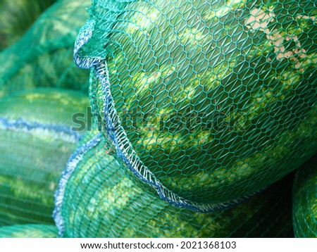 watermelons are packed in a green net on the back of a car