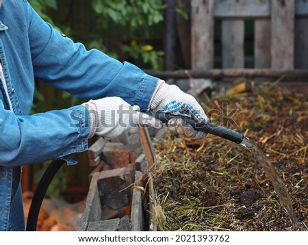 Storing organic fertilizers in compost heaps. A woman sprinkles a manure heap from waste and animal manure with water for early decay. Royalty-Free Stock Photo #2021393762
