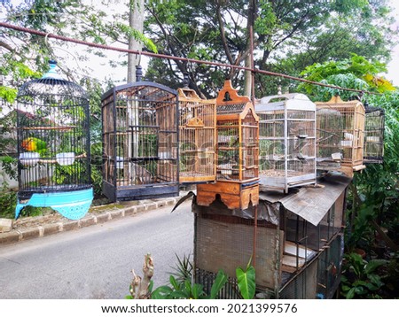 Sun bathing the birds in the cage in the morning sun. One of activity Indonesian people, this outdoor activity is often done by bird lovers. Maybe this photo can use for articel, hobbiest, and culture