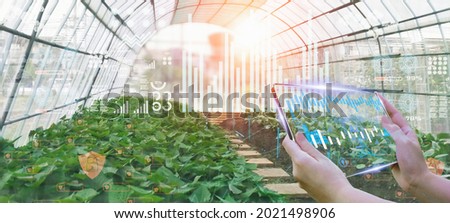 Blurred background-business woman using smart tablet,organic vegetable house production control,concept technology to future trading world market,track productivity,satellite for agriculture with AI