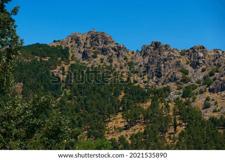 landscape view mountains sky trees