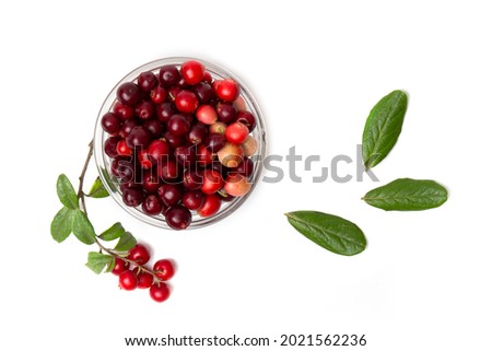 Red cranberry berry with green leaves in a transparent bowl isolated on a white background. Royalty-Free Stock Photo #2021562236