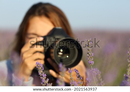 Photographer using dslr camera to take macro photos of lavender in a field