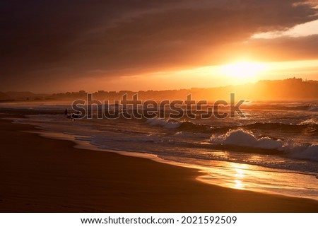 Amazing sunset at the beach in summer
