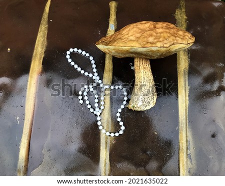 A large mushroom-podberezovik lies next to pearl beads on a wet brown and gold surface.