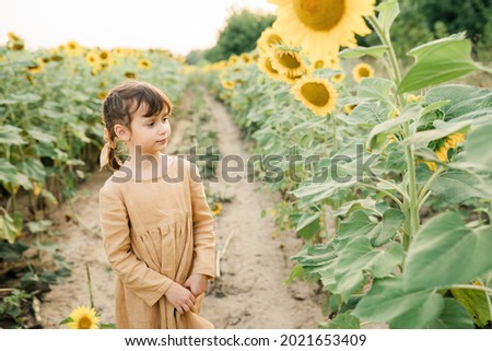 Local travel. Six year girl wearing natural linen dress pastel color in sunflower field at summer, outdoor lifestyle. Freedom concept