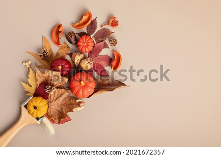Flat lay with fall decoration and paint brush. Autumn holidays, thanksgiving, halloween idea