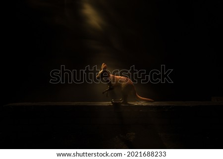 Silhouette of a Kangaroo miniature standing at foggy night. Creative table decoration with colorful backlight with fog. Selective focus