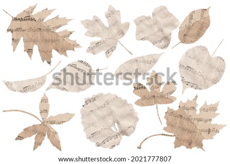 Forest leaves silhouettes. Vintage clip art set on white background