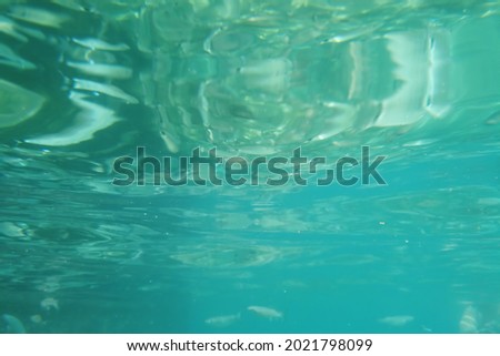 seascape and underwater life view