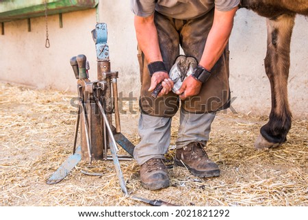 
Blacksmith cleaning the shoe of the horse with a knife before putting the new shoe Royalty-Free Stock Photo #2021821292