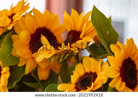 Colorful sunflower bouquet. High quality photo. Selective focus Royalty-Free Stock Photo #2021992418