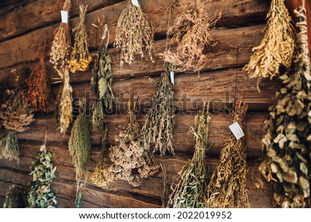 Bunches of dried herbs and flowers of medicinal varieties - dried tea collection in an old pharmacy - herbal treatment Royalty-Free Stock Photo #2022019952