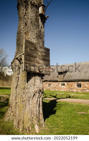 Old basketball basket and shield attached to a large tree.