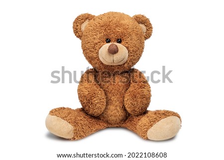 Cute teddy bear isolated on white background Royalty-Free Stock Photo #2022108608