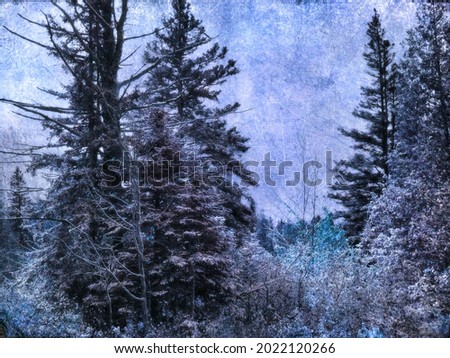 A frozen ice storm laid upon a pine forest. Creative colors and textured photograph. Blueish tones. Royalty-Free Stock Photo #2022120266