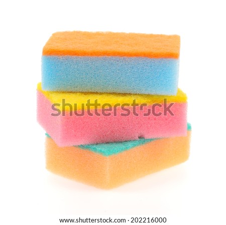 sponge isolated on a white background