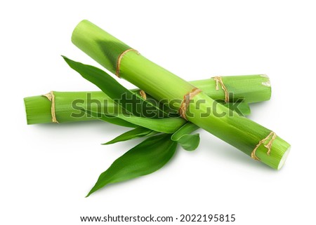 Green bamboo with leaves isolated on white background with clipping path and full depth of field Royalty-Free Stock Photo #2022195815
