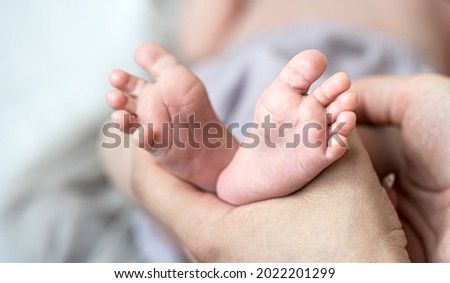Close-up of newborn baby's legs in mom's hands on blurred background.