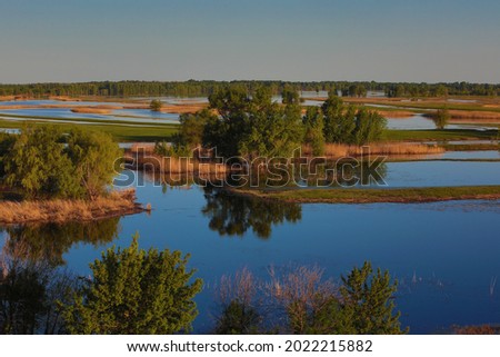 Landscape floodplain floodland half under water after rain with islets of grass and tree in sunlight at sunset natural scene of Russian climate and weather conditions HDR shooting mode