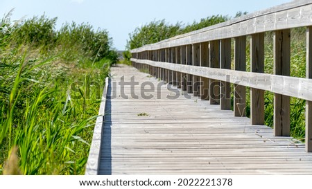 picture with a wooden footbridge, a place for pedestrians