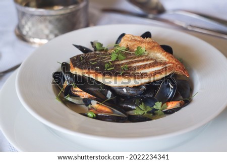 A pan sear crispy filet of sea bass fish top on the mussels stew in white wine cream sauce in a white plate with parsley leaves on the top for a decoration 
