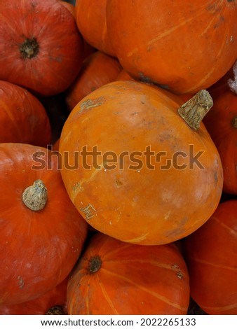 pile of yellow fresh pumpkin
