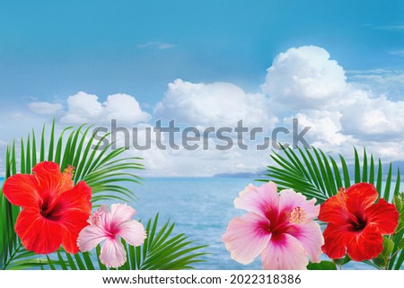 Summer tropical background, exotic hibiscus flowers and palm leaves against blue sky and cloud background 