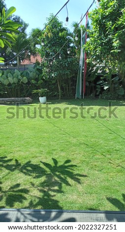 Portrait photo of beautiful summer garden with grass and tropical plant cover on the wall