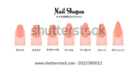 Various nail shapes vector illustration set.  Translation: Nail shapes, round, square, squoval, oval, almond, coffin, stiletto Royalty-Free Stock Photo #2022380012